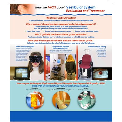 HealthScapes Vestibular System Evaluation Canvas Poster 20 x 24