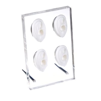 White Ear Display — Four Right Ears on Acrylic Stand