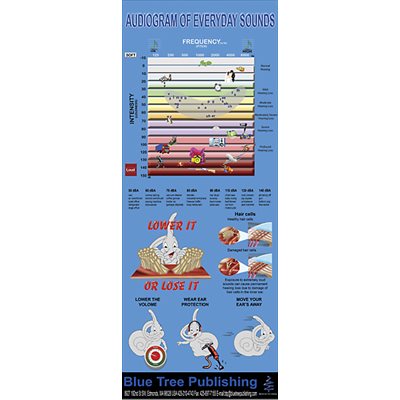 Blue Tree Audiogram roll-up poster chart artwork, 30 x 84 inches, BT-4121037