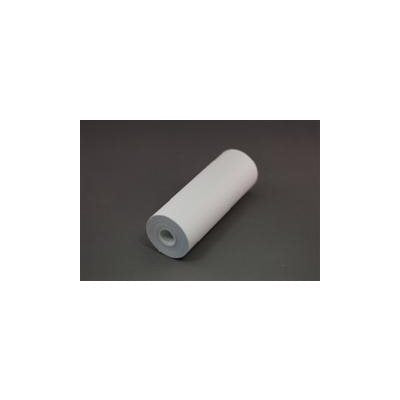 Recording Paper for Audioscan RM500 (1 roll)