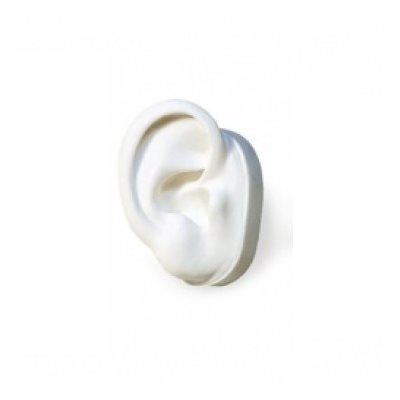 White Silicone Display Ear, Right (74512)